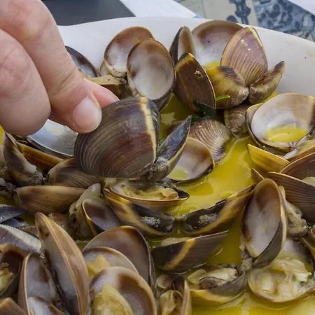 A36 - Avenue Flat In *